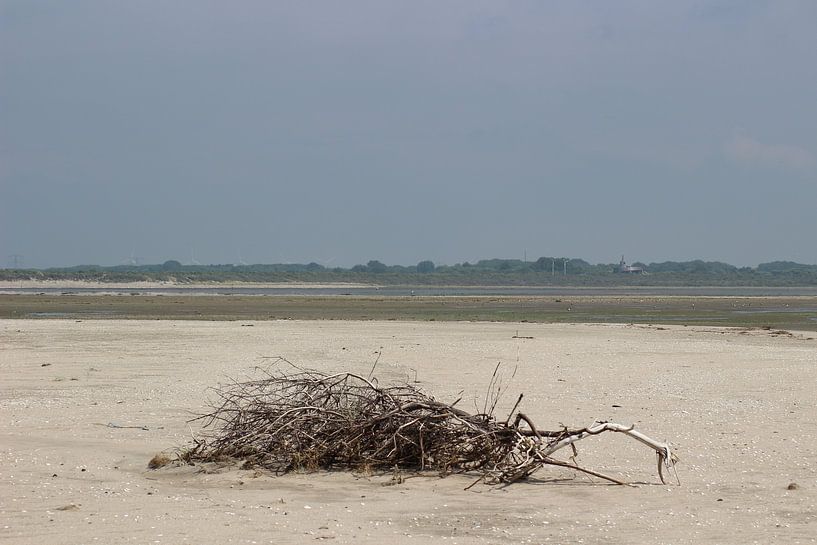 Uitzicht strand par Priscilla Bakker