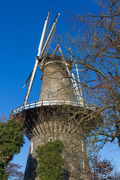 Mühle in Leiden 3 von QEIMOY