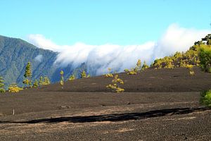 National Park Caldera de Taburiente in La Palma