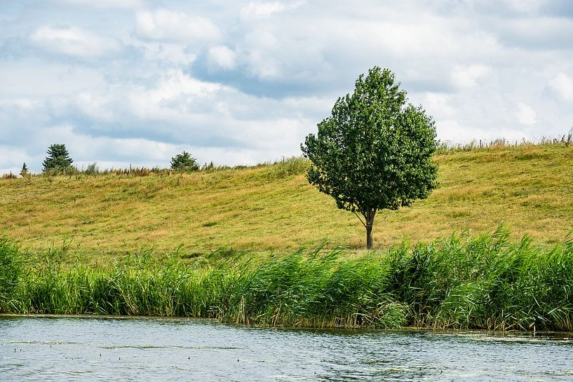 Landschaft an der Peene bei Loitz von Rico Ködder