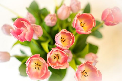 Boeket roze tulpen