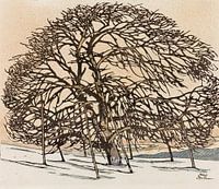 JOSEF STOITZNER, Tree in Winter