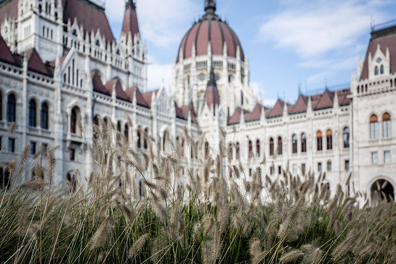 Budapest par Eric van Nieuwland