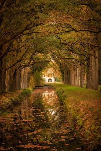 Autumn colors in the trees above a canal in Veenhuizen