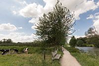 Wandelen langs de Kromme Rijn