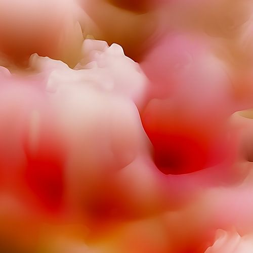 Rode indruk - Deel II van Andreas Wemmje