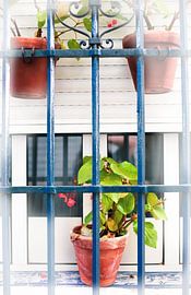 The window by Wendy Maria Laimböck-Dekker