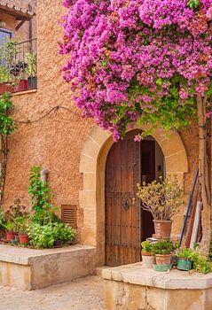 Magnifique bougainvillée fleurissant sur l'entrée d'une maison méditerranéenne