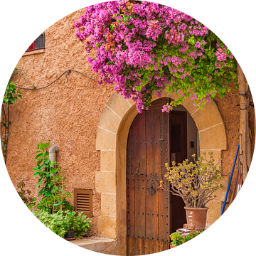 Prachtige bougainvillea bloeiend op mediterrane huis ingang