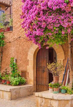 Prachtige bougainvillea bloeiend op mediterrane huis ingang van Alex Winter