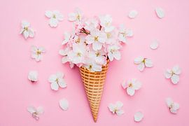 Flower cone joy by Poster Art Shop