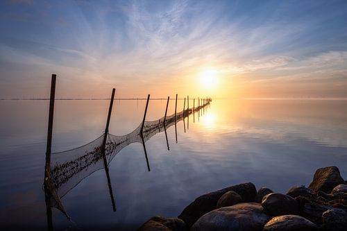 Visnet bij Ringkøbing Fjord