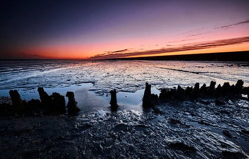 Half-decayed timber poles in the sea at dawn