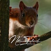 Martin Korelski Naturphotografie Profilfoto