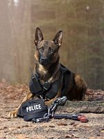 Zei je politie?