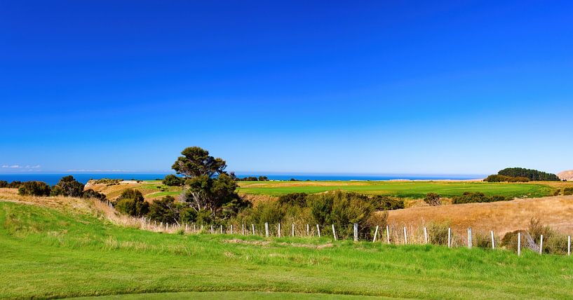 Panoramalandschaft auf einem Golfplatz. Neuseeland von Yevgen Belich