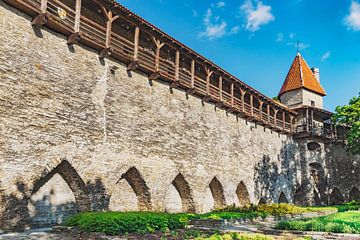 Tallinn Estonia by Gunter Kirsch