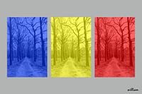 Bospad in drie kleuren