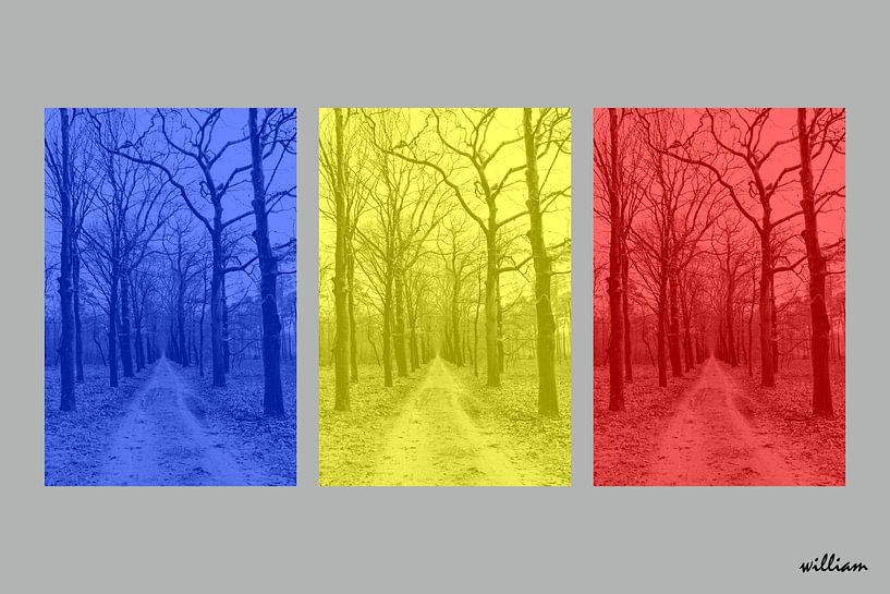 Waldweg in drei Farben von whmpictures .com