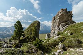 Natur in den Dolomiten von Martin Smit