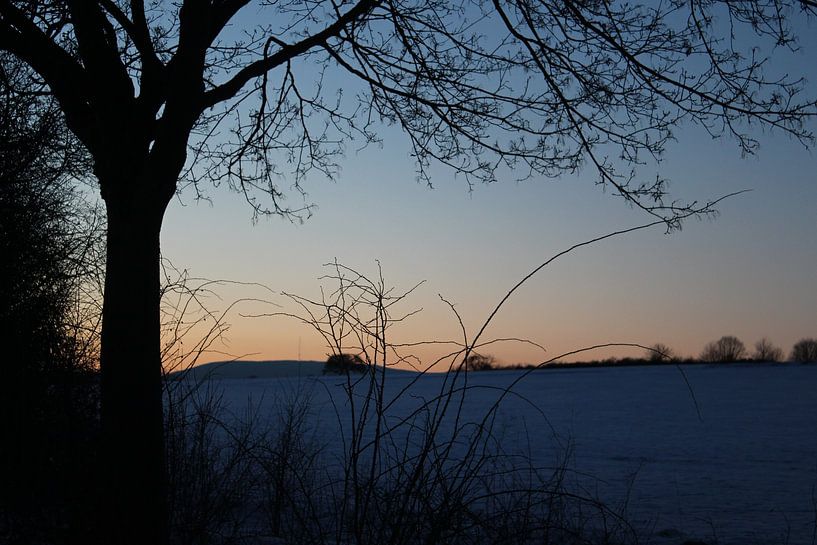 Arbre à contre-jour avec coucher de soleil en hiver par Martin Flechsig