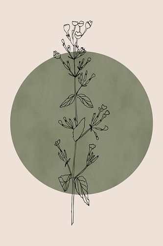 Wabi-sabi botanische bloem Japandi nr. 6