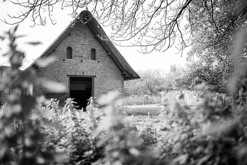 Shed in Hertenkamp, Maastricht City Park