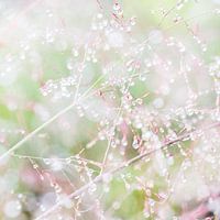SPARKLING GREEN WALL