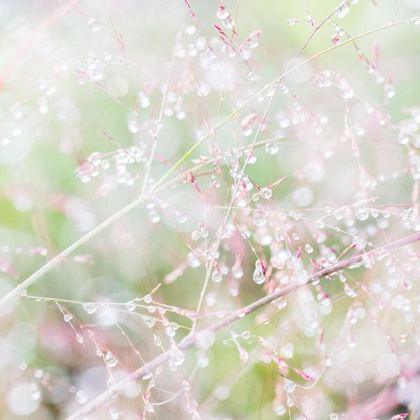 SPARKLING GREEN WALL by Manon Visser