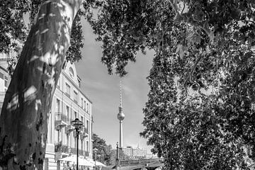 BERLIN Fernsehturm & Monbijoupark | Monochrom von Melanie Viola