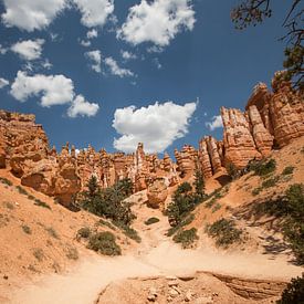 Bryce Canyon Utah von Fabio Holkema
