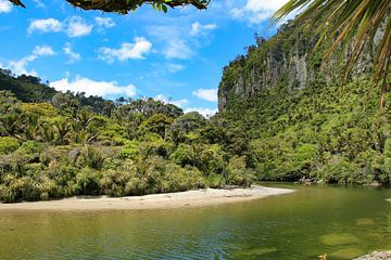 Paparoa National Park van Lizette Schuurman