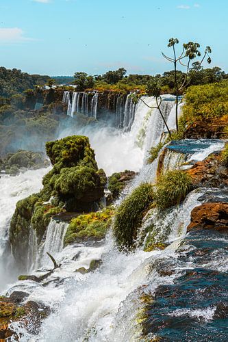 Adembenemende foto van de Iguazú-watervallen