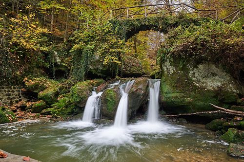 Dancing water and falling leaves