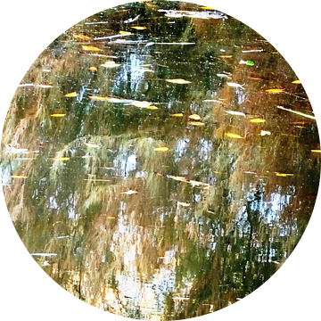 Urban Reflections 150