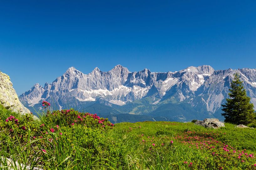 Berglandschap 