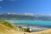 Autorit Kaikoura Nieuw-Zeeland