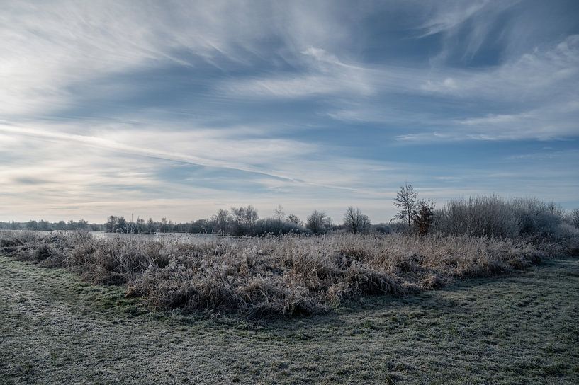 A cold winter day in Friesland by Anna den Broeder