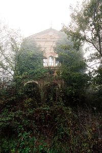 Verwunschene Kirche - von der Natur zurückgeholt von Times of Impermanence