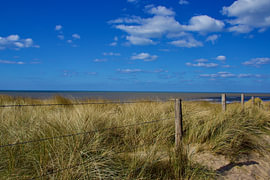 The dunes and the sea near The Hague and Scheveningen by Gregor Abbas