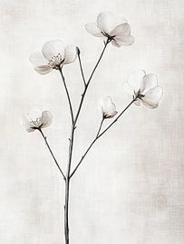 Flowers by Zen and More