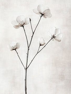 Bloemen van Zen en Meer