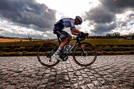 Julian Alaphilippe sur les pavés à la recherche d'un classique sur FreddyFinn