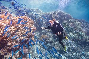Junge Niederländerin taucht in der Nähe des Korallenriffs und des Blaufischschwarms ins Meer