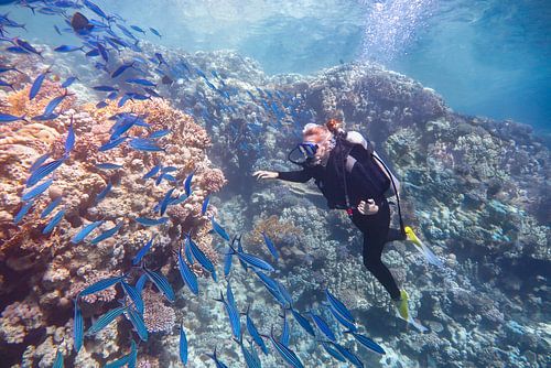Jonge Nederlandse vrouw duikt in zee bij koraalrif en school blauwe vissen