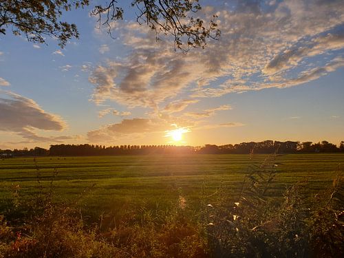 Hintergrundbeleuchtung Gold
