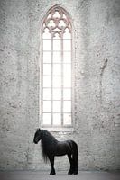Fries paard in kerk