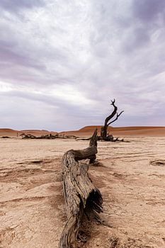 Deadvlei Namibie