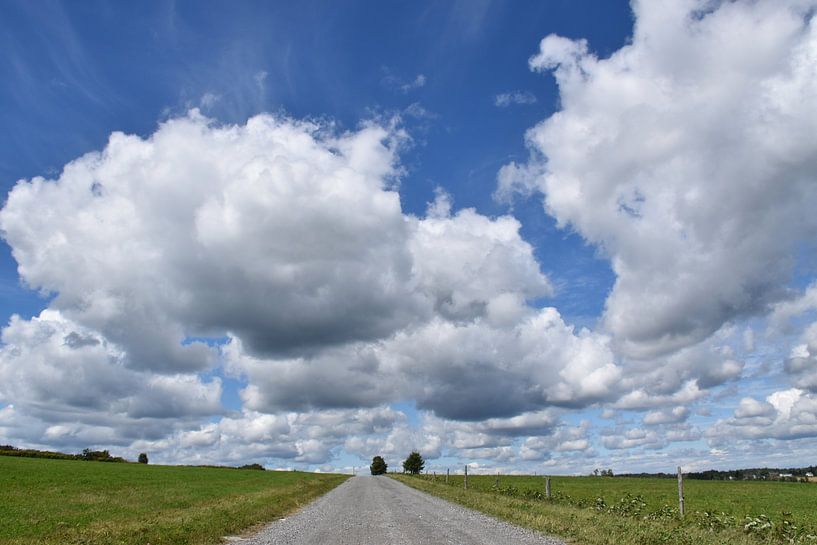 A country road in summer by Claude Laprise