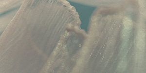 Glanzfalten – Schimmernde Textur in Bewegung